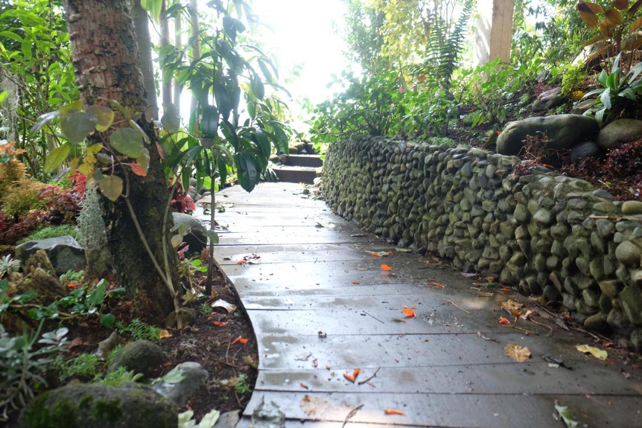 Casa Nativo Villa Jardín Dış mekan fotoğraf
