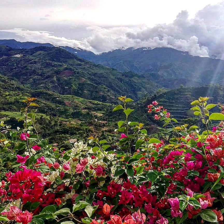 Casa Nativo Villa Jardín Dış mekan fotoğraf
