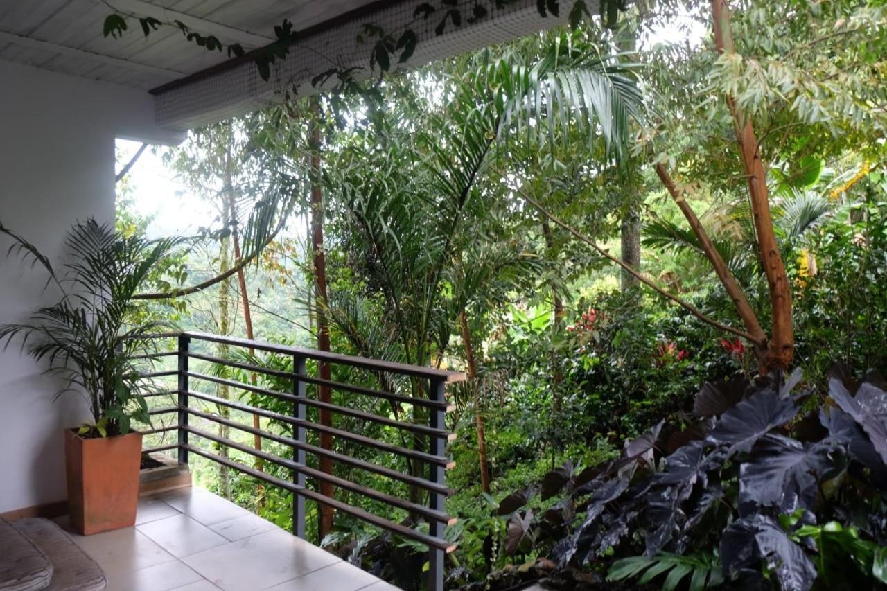Casa Nativo Villa Jardín Dış mekan fotoğraf