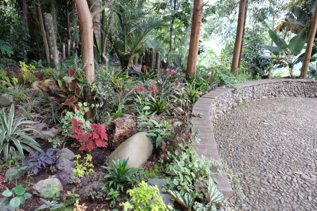 Casa Nativo Villa Jardín Dış mekan fotoğraf