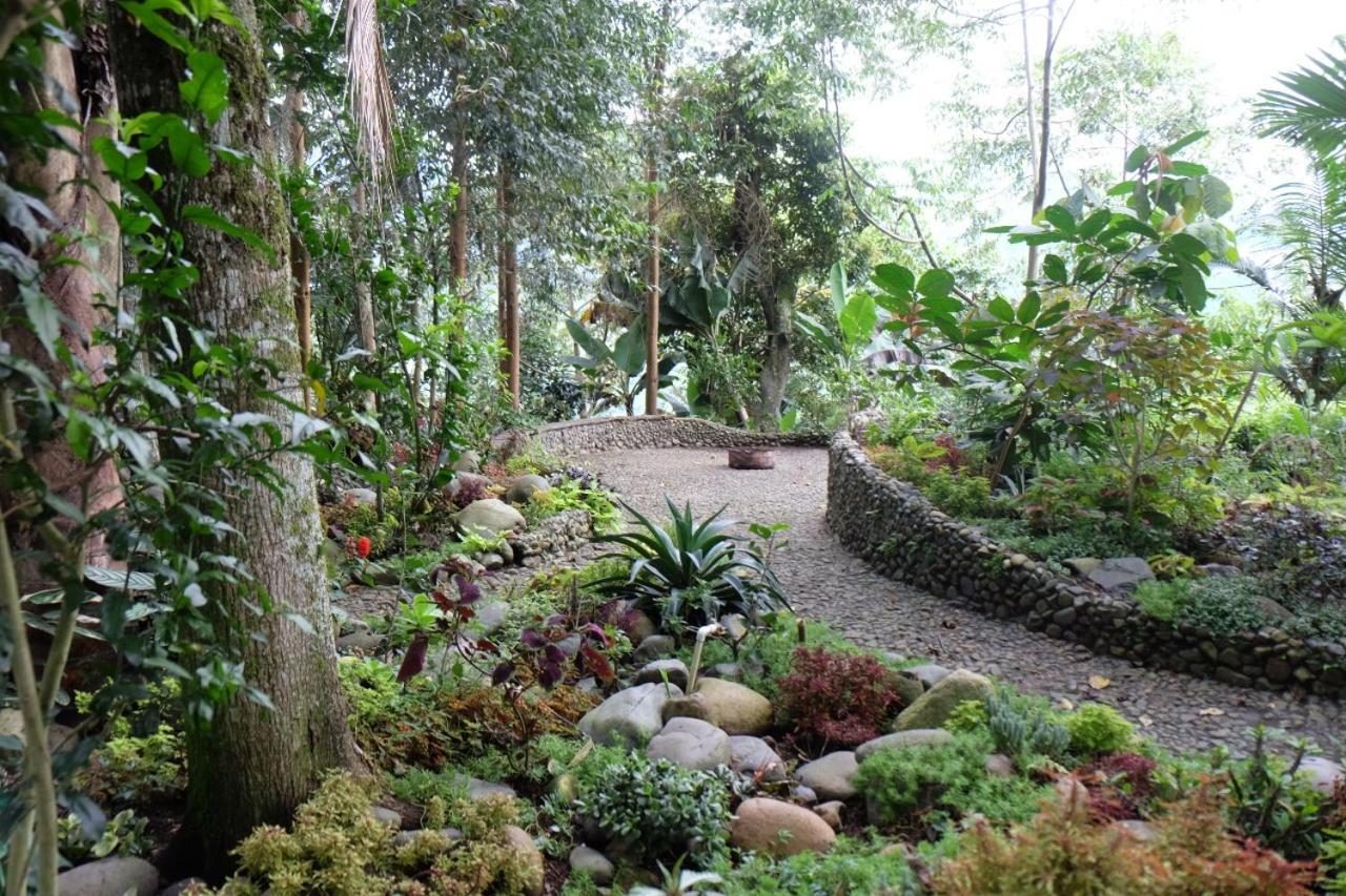 Casa Nativo Villa Jardín Dış mekan fotoğraf