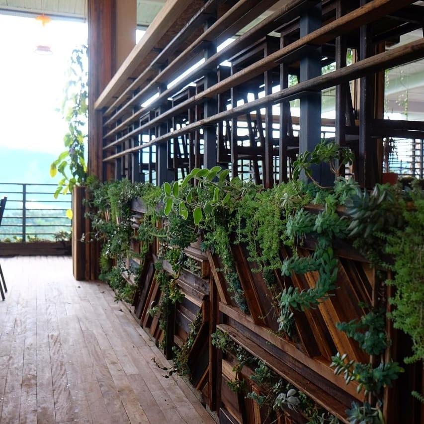 Casa Nativo Villa Jardín Dış mekan fotoğraf