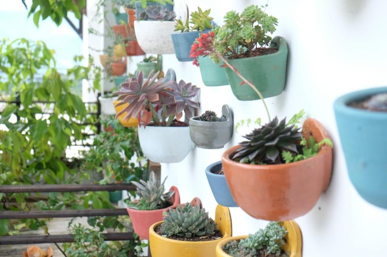 Casa Nativo Villa Jardín Dış mekan fotoğraf