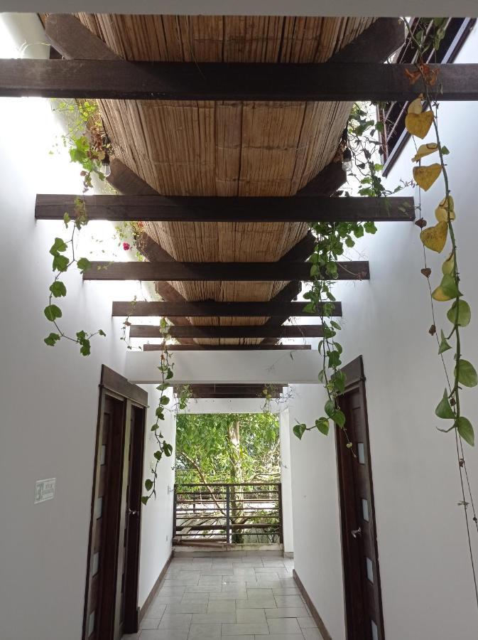 Casa Nativo Villa Jardín Dış mekan fotoğraf
