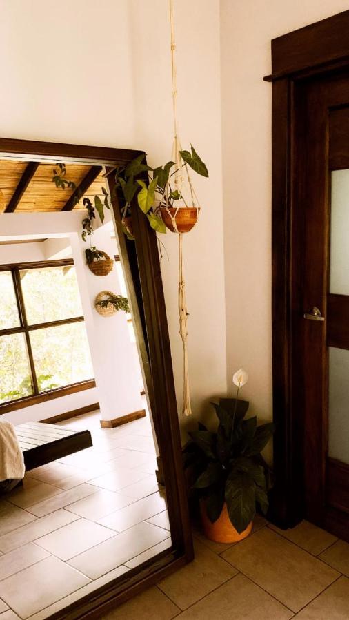 Casa Nativo Villa Jardín Dış mekan fotoğraf