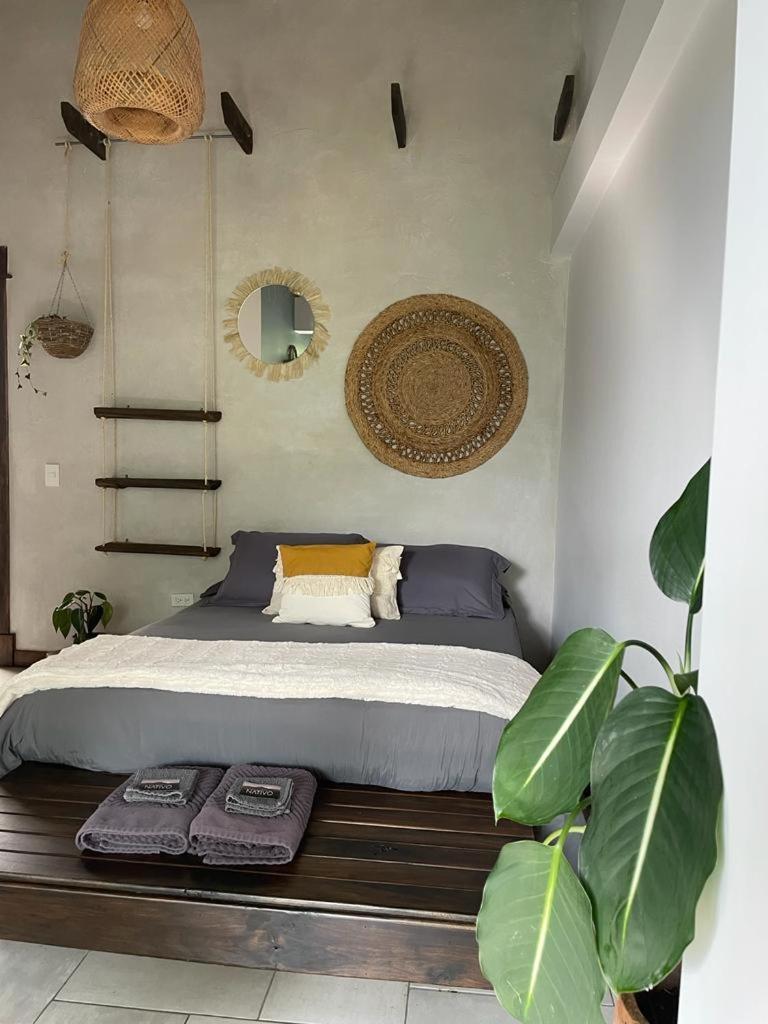Casa Nativo Villa Jardín Dış mekan fotoğraf